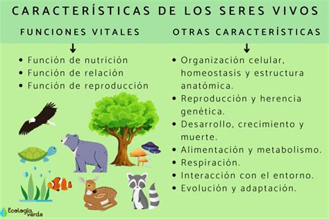 Características de los seres vivos - Resumen