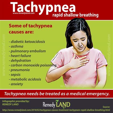 Tachypnea: causes & treatment for tachypneic (rapid shallow breathing) - Remedy Land