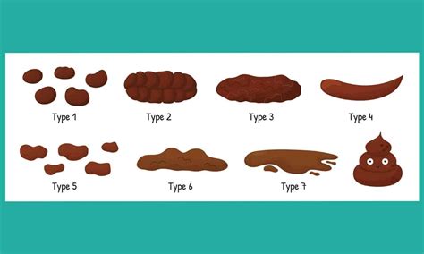 Cary Gastroenterology Associates | The Bristol Stool Chart: What Type…