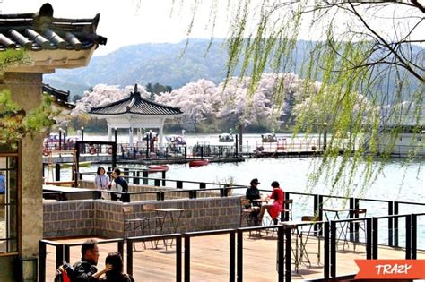 gyeongju-cherry-blossom-02-min - Trazy Blog