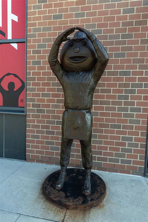 Brutus Buckeye statue Photograph by Eldon McGraw | Pixels