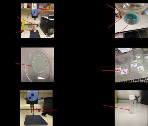 3: HA hydrogel fabrication process. A) Hydrogel solution mixing ...