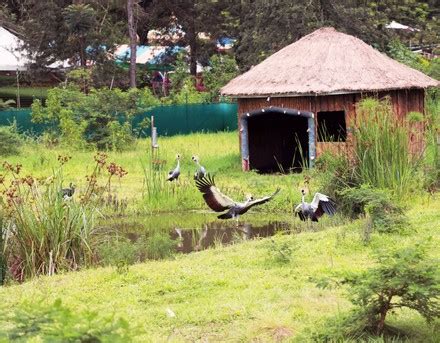 250 Ramsar designated wetland Stock Pictures, Editorial Images and Stock Photos | Shutterstock