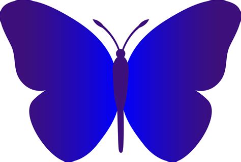 Free Blue Butterfly Images, Download Free Blue Butterfly Images png ...