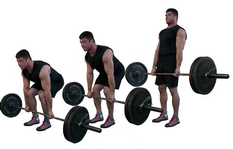 Types Of Barbell Lifts