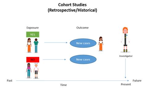 Cohort Study: Definition, Designs & Examples