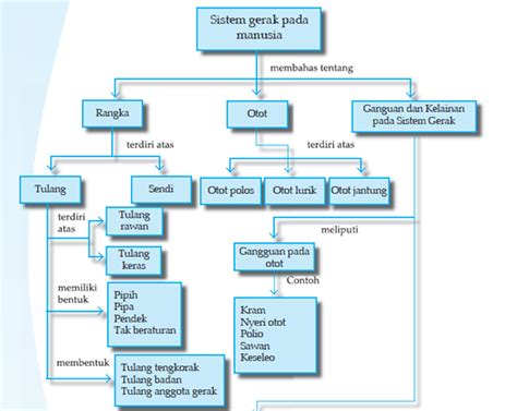 Peta Konsep Sistem Gerak Pada Manusia - Pengertian