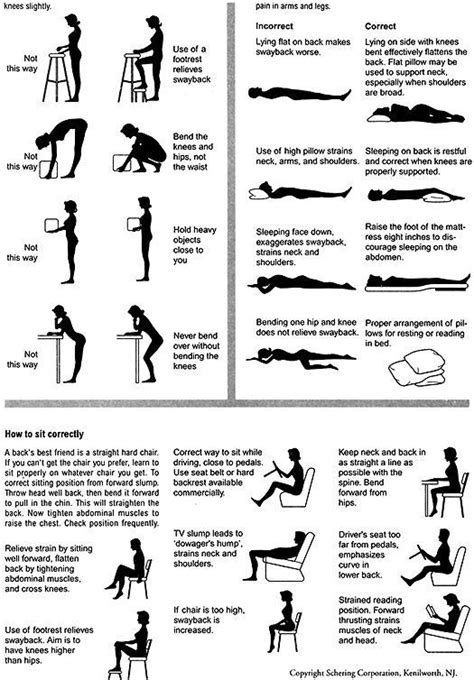 23 best Lower Back Pain Exercises And Stretches Pictures images on Pinterest | Stretching ...