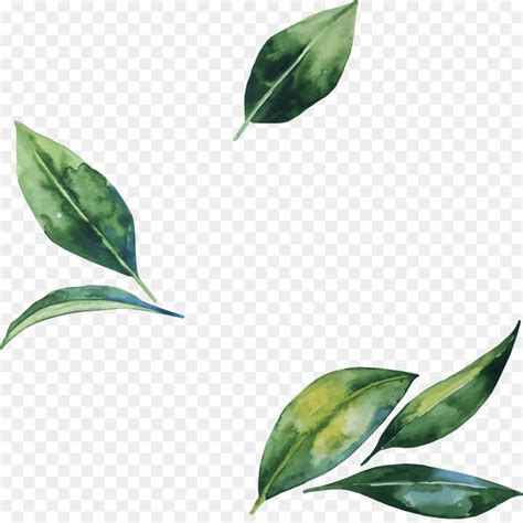 Free Leaf Png Transparent, Download Free Leaf Png Transparent png images, Free ClipArts on ...