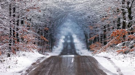 1920x1080 Forest Road in Winter 1080P Laptop Full HD Wallpaper, HD Nature 4K Wallpapers, Images ...