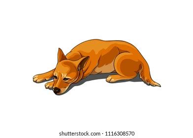 Isolated Vector Illustration Realistic Sad Brown Stock Vector (Royalty Free) 1116308570 ...