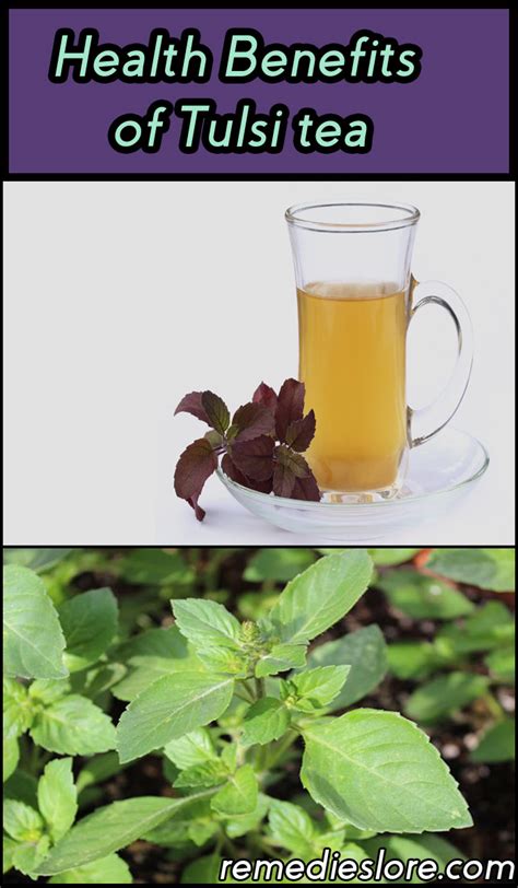 10 Awesome Health Benefits of Tulsi Tea - Remedies Lore