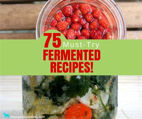 75 Fermented Foods Recipes! - The Organic Goat Lady