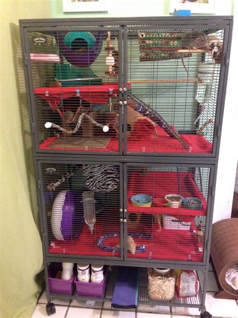 Rat Cage setup ideas from Ratgirl44 on YouTube | Rat cage, Rats, Pet rats