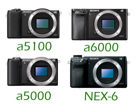 Sony A5100 Vs. A6000 Vs. A5000 Vs. NEX-6 Specs Comparison - Camera News ...