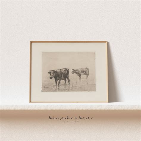 Vintage Cow Drawing Cattle Sketch Antique Farmhouse Wall Art Printable Wall Art 273 - Etsy