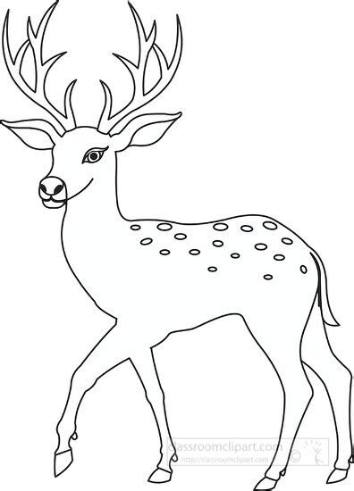 Deer Clipart-deer outline clipart