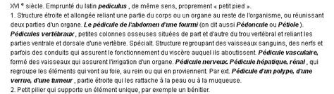 Pédicule: La définition du terme "Pédicule"