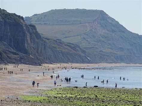 Charmouth Beach - Dorset | UK Beach Guide