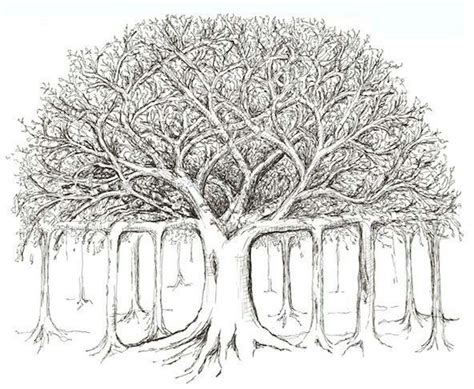 Peepal Tree Pencil Drawing