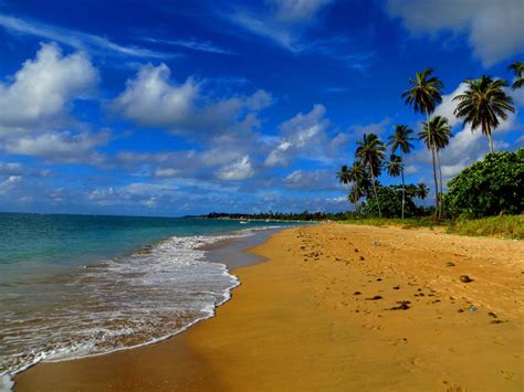 The 15 Best Beaches in Bahia