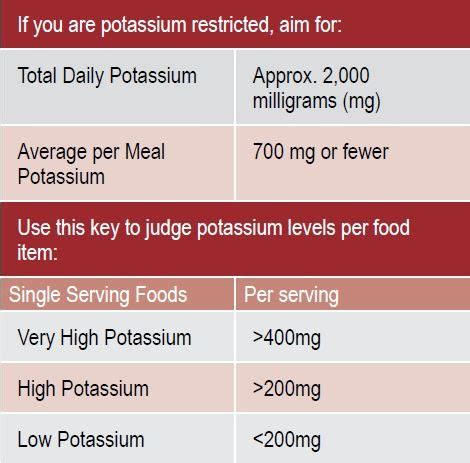 A Practical Guide to Managing Your Potassium – AAKP