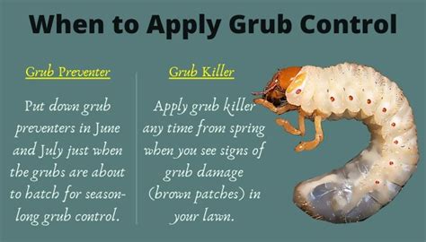 When-to-Apply-Grub-Control - Green Side Up