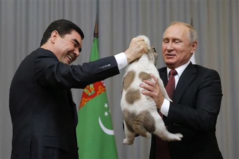 Turkmenistan dedicates national holiday to the Alabai, one of the world's largest dogs - ABC News