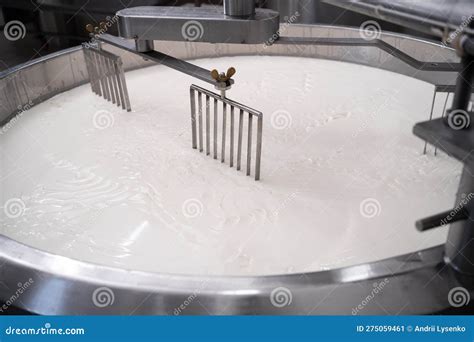 Cheese Making Process. Freshly Fermented Milk on during Production Process at Dairy Factory ...