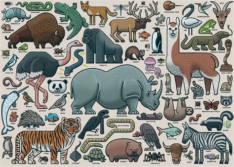 You Wild Animal, 1000 Pieces, Ravensburger | Puzzle Warehouse