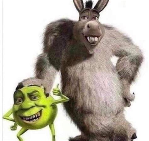 Shrek Wazowski and Donkey P. Sullivan - 9GAG