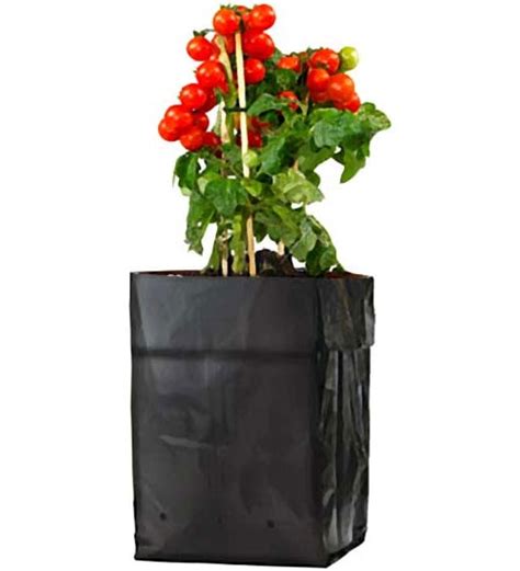 Plastic Grow Bags for Plants (Wholesale) | Planet Natural