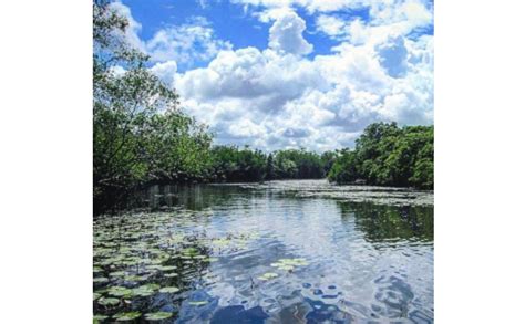 Bentota river safari in Sri Lanka | Cinnamon U