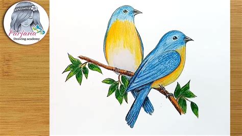 How to draw Eastern Bluebirds step by step - YouTube