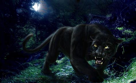 Black Panther Blue Eyes Wallpaper - WallpaperSafari