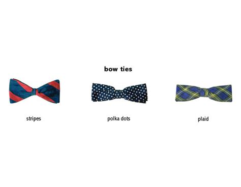 bow-tie noun - Definition, pictures, pronunciation and usage notes ...