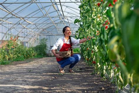 25 Best Greenhouse Plants You Should Grow