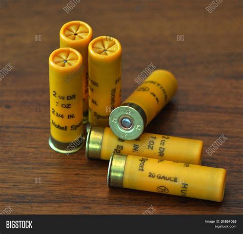 20 Gauge Shotgun Shells Stock Photo & Stock Images | Bigstock