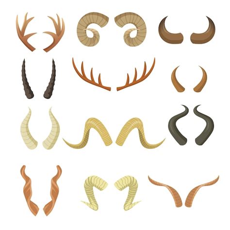 Antelope Horns Images | Free Vectors, Stock Photos & PSD