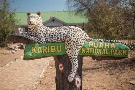 Wildlife Tourism in Tanzania | Wildlife Safari Tanzania | Tanzania Tours