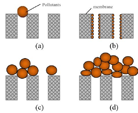 Schematic diagram of membrane fouling mechanism model (a) Complete ...