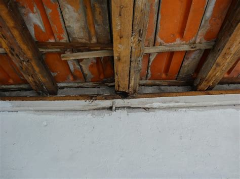 repair - Fixing (at least temporarily) roof damaged wooden beam (rafter?) in an outbuilding ...