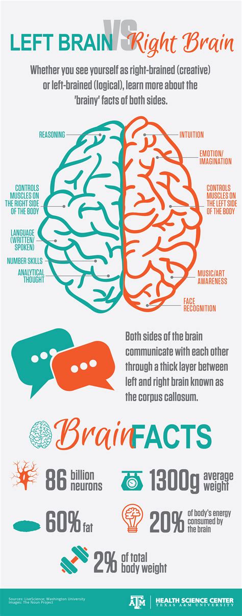 INFOGRAPHIC: Left brain vs. Right brain - Vital Record