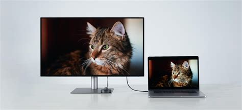 What Makes Your Professional Monitor Mac-Ready? | BenQ Canada