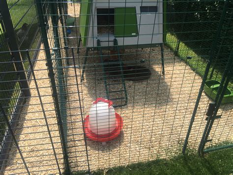 Walk in Chicken Run | Large Outdoor Chicken Enclosure