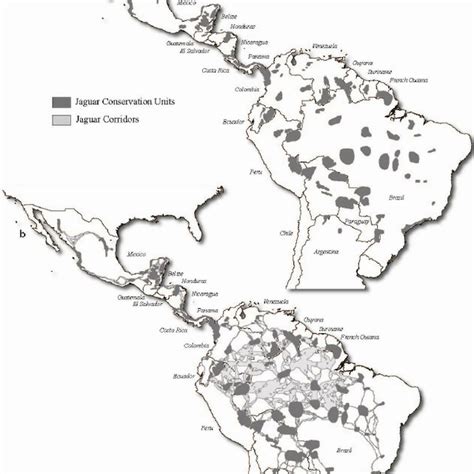 Jaguar Conservation Units and Corridors. | Download Scientific Diagram