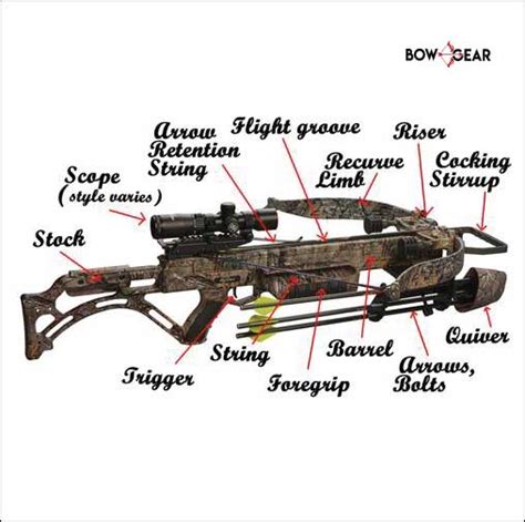 Different Types of Crossbows | Ultimate Guide - The Bow Gear