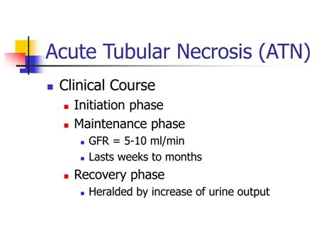 PPT - Acute Tubular Necrosis PowerPoint Presentation, free download - ID:1464534