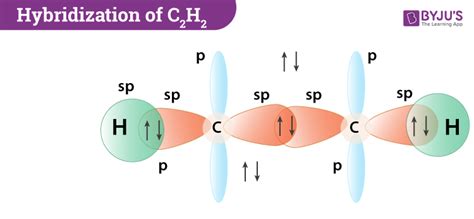 Which type of hybridization is found in ethyne molecule? - Q&A