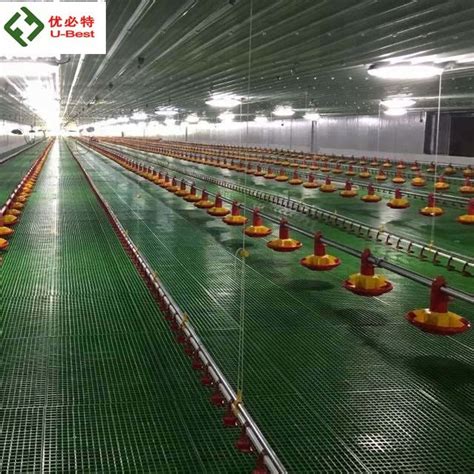 Complete Automatic Poultry Chicken House Equipment for Broiler Farming System - China Poultry ...